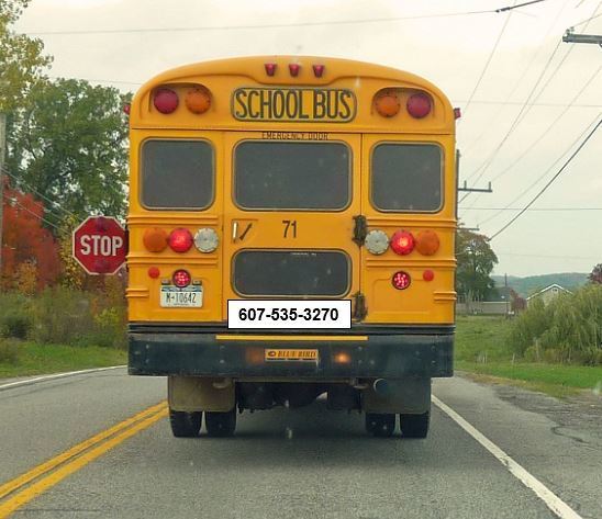 WG School Bus 