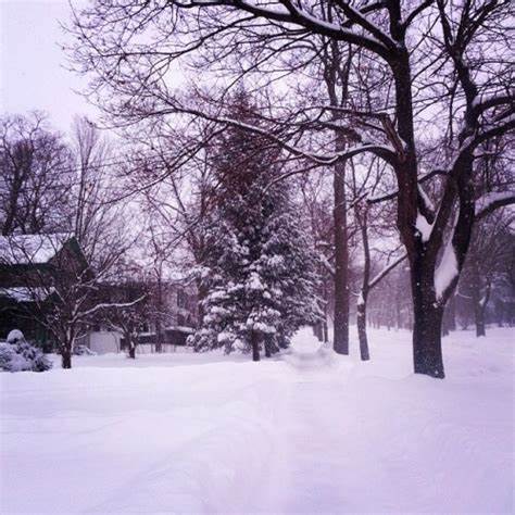 Snow